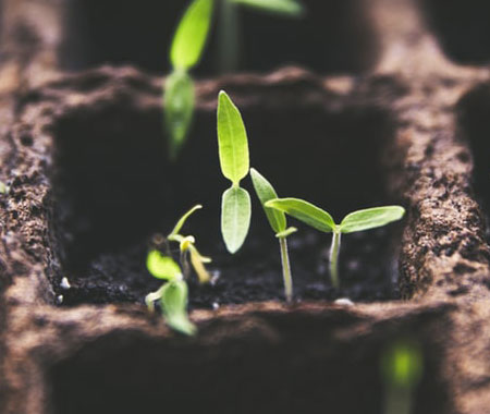 Galeria gardener gallery 1