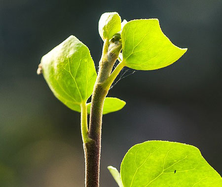 Galeria gardener gallery 3