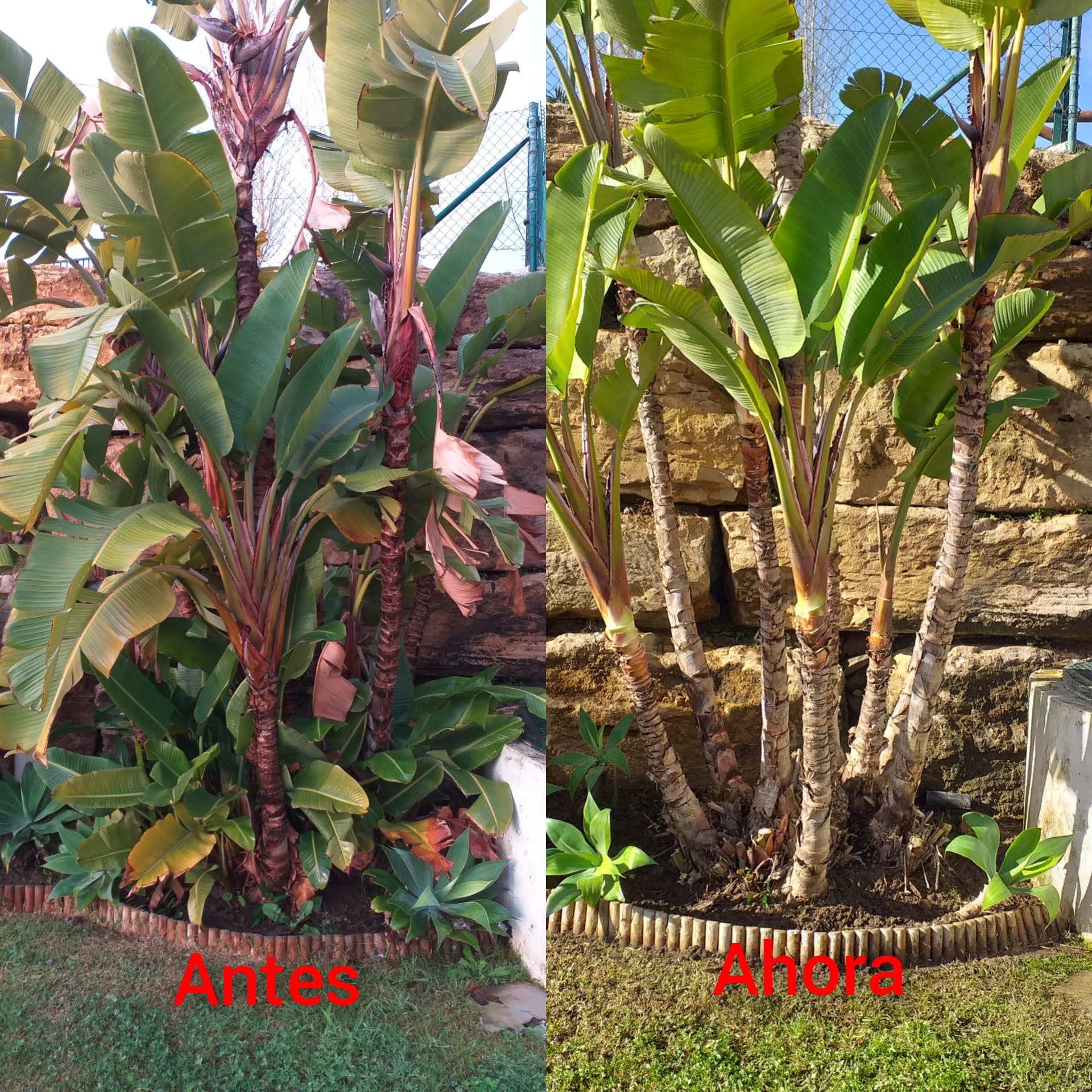 Galeria whatsapp image 2026 02 03 at 10.02.31