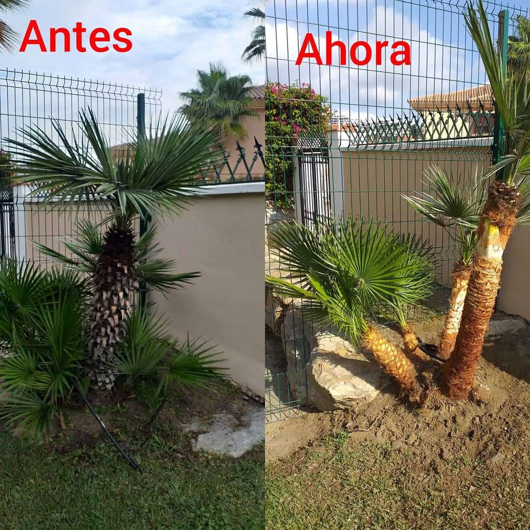 Galeria whatsapp image 2026 02 03 at 10.02.35