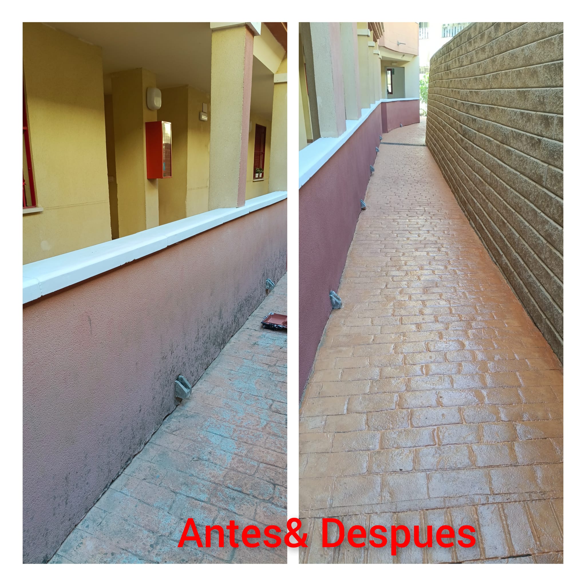 Galeria whatsapp image 2026 02 03 at 10.02.49